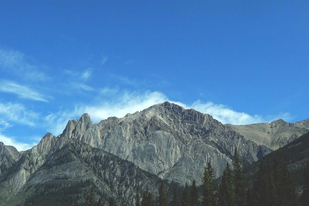 1.346 UMKM Kantongi Label Halal di Awal 2026